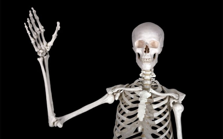 funny names for skeleton