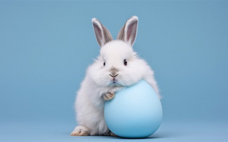 funny rabbit names