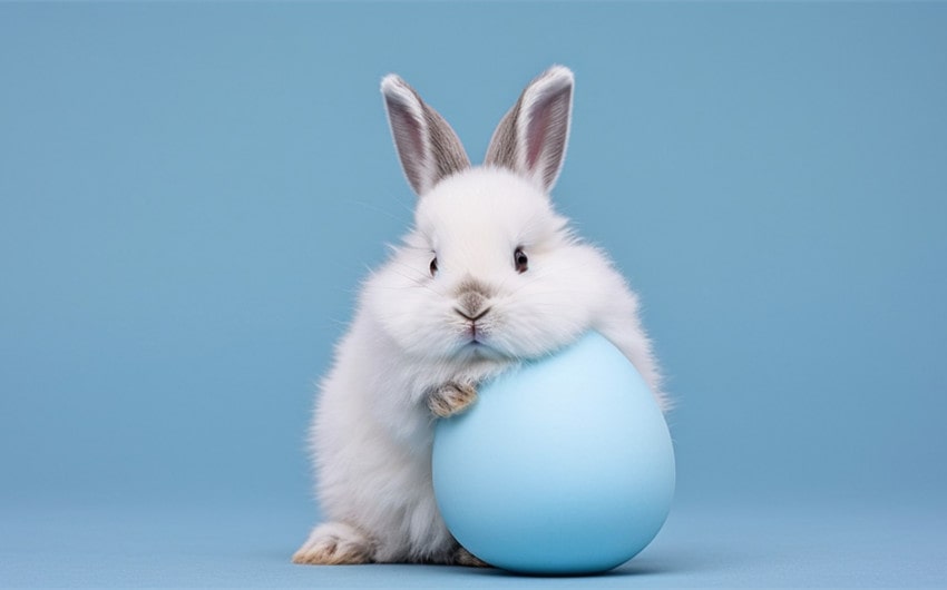 funny rabbit names